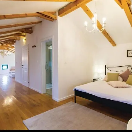 Barban Bicici